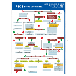 Affiche PSC 1 - Algorithme