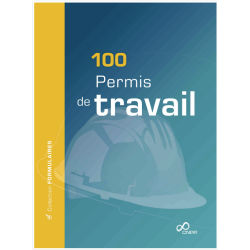 100 Permis de travail