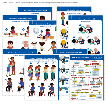 Affiches PSC 1 - Lot de 9 affiches PSC1 Affiches PSC 1 - Lot de 9 affiches PSC1